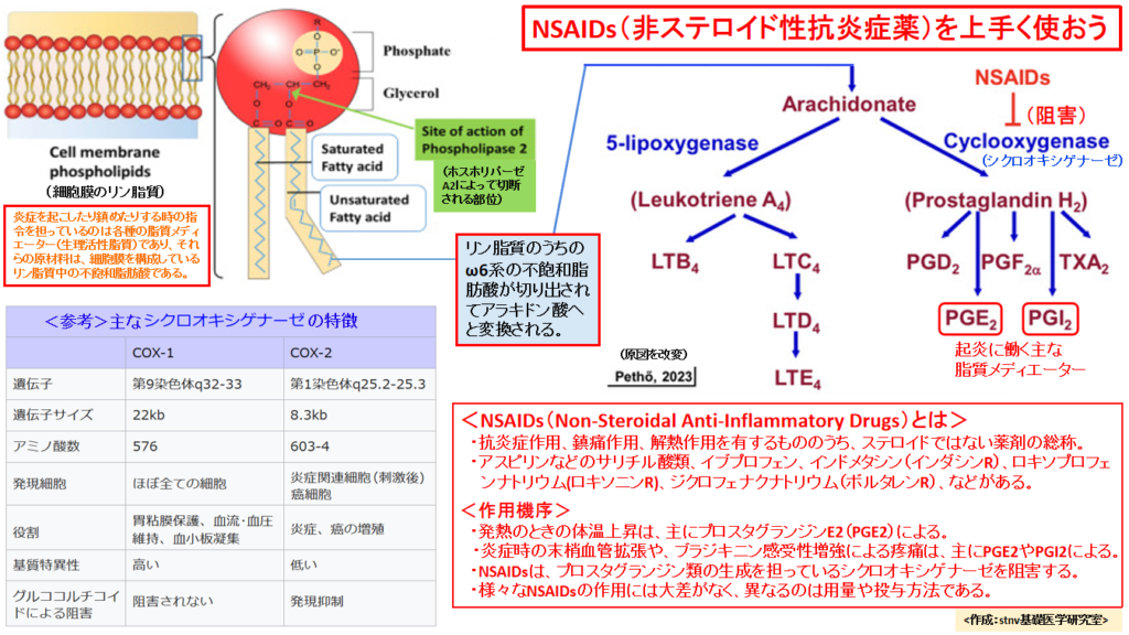 NSAIDs（非ステロイド性抗炎症薬）を上手く使おう | stnv基礎医学研究室
