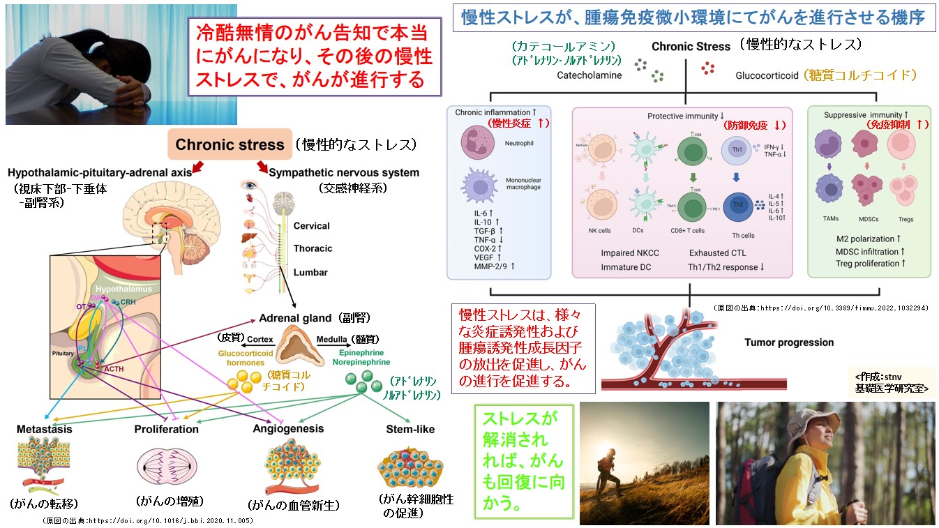 冷酷無情のがん告知で本当にがんになり、その後の慢性ストレスで、がんが進行する。