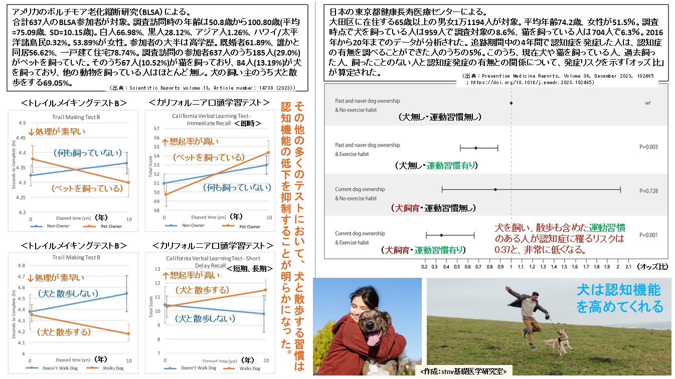 犬は認知機能を高めてくれる