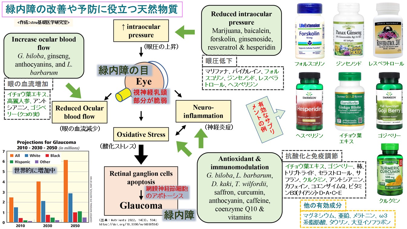 緑内障の改善や予防に役立つ天然物質