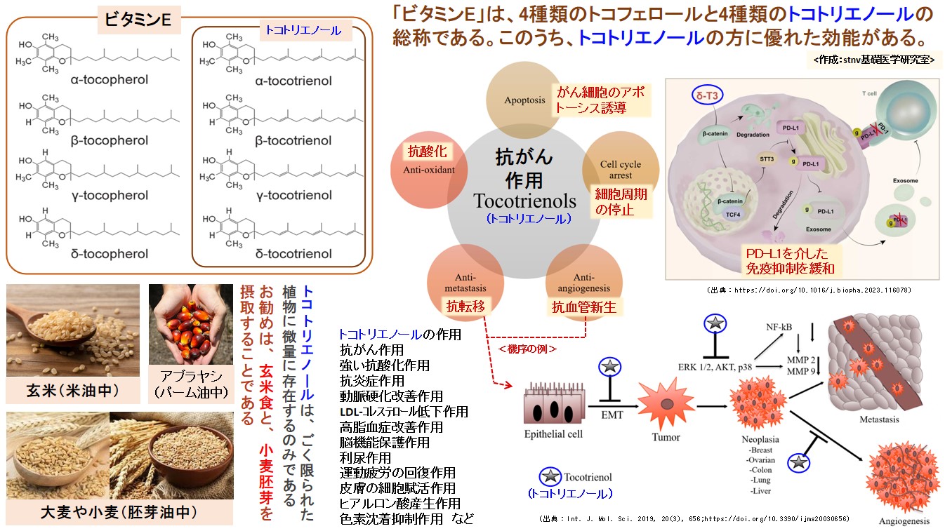 「ビタミンE」は、4種類のトコフェロールと4種類のトコトリエノールの総称である。このうち、トコトリエノールの方に優れた効能がある。