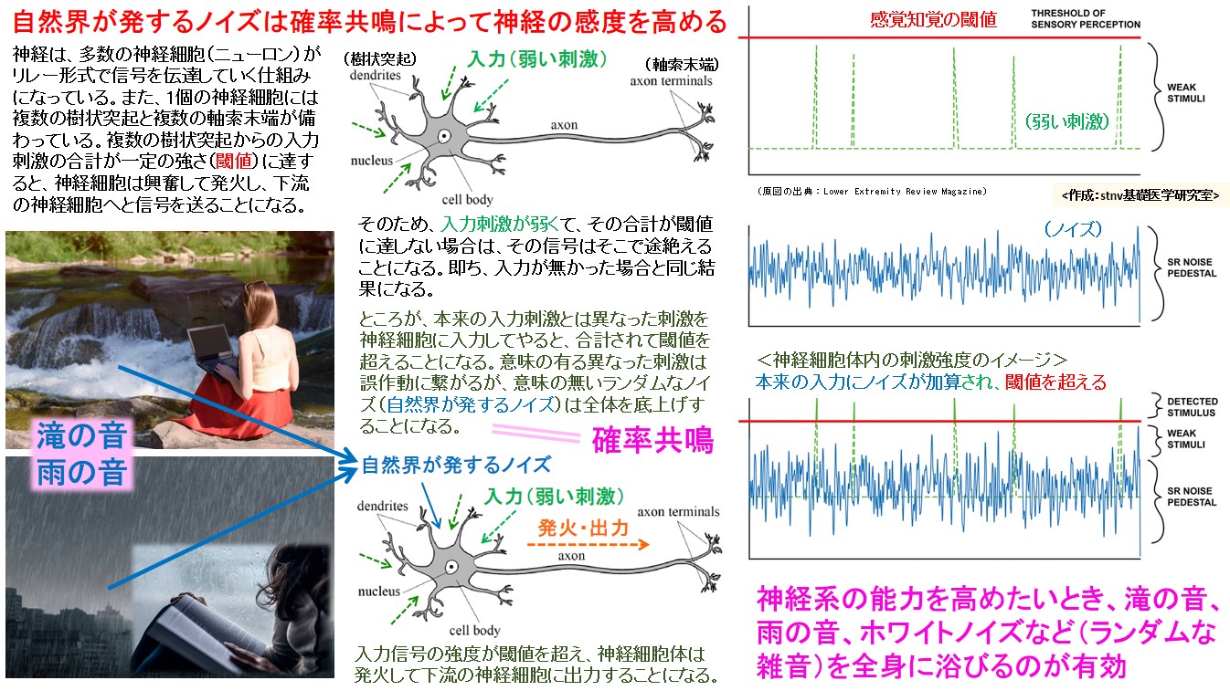 自然界が発するノイズは確率共鳴によって神経の感度を高める