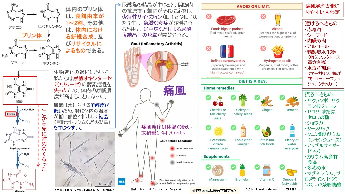 痛風を予防する方法