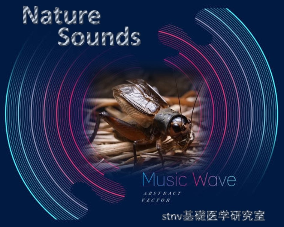 Nature sounds presented by stnv Basic Medical Science Laboratory