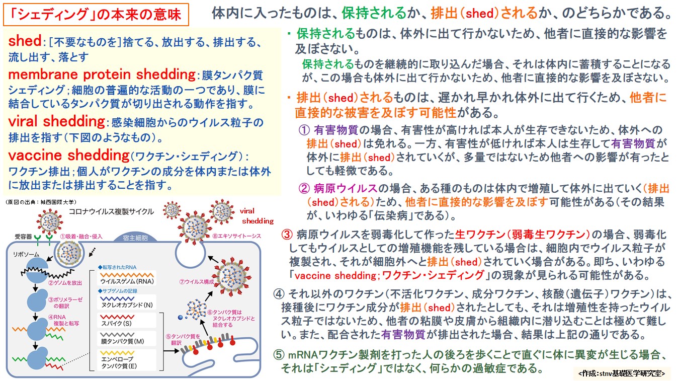 「シェディング」の本来の意味