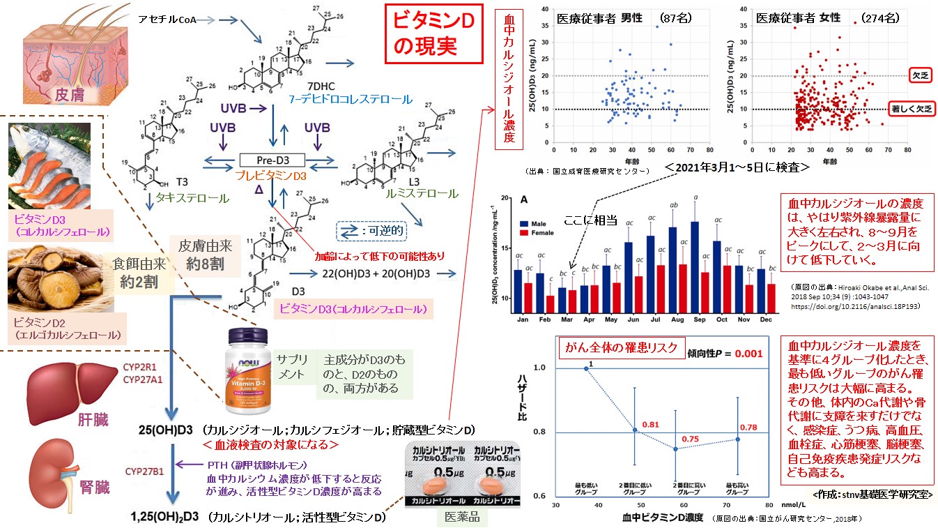 ビタミンDの現実