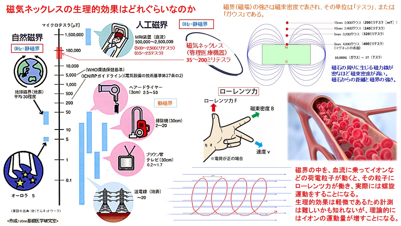 磁気ネックレスの生理的効果はどれぐらいなのか