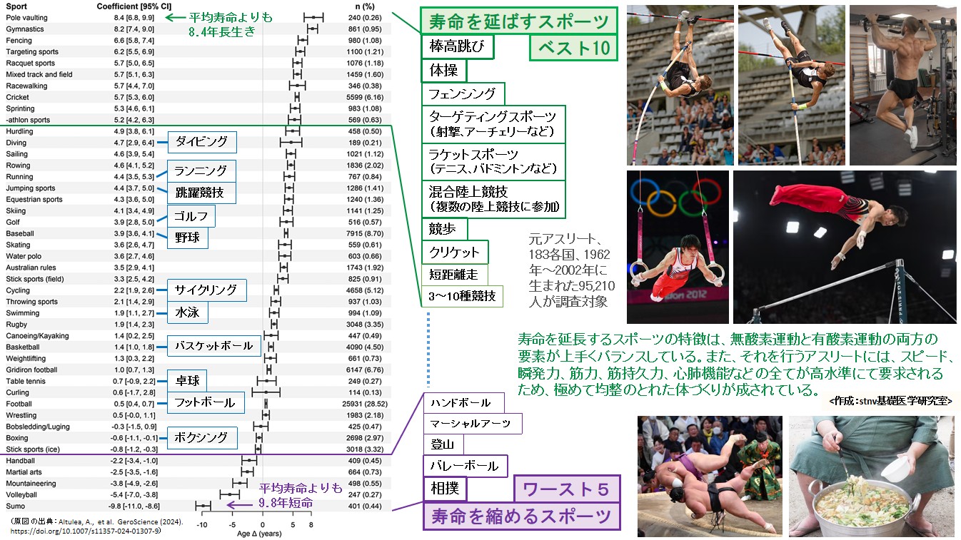 寿命を延ばすスポーツと寿命を縮めるスポーツ