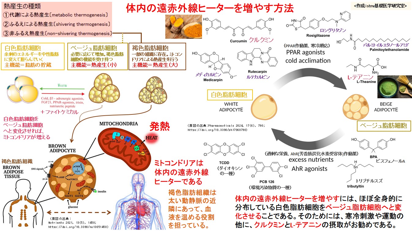 体内の遠赤外線ヒーターを増やす方法