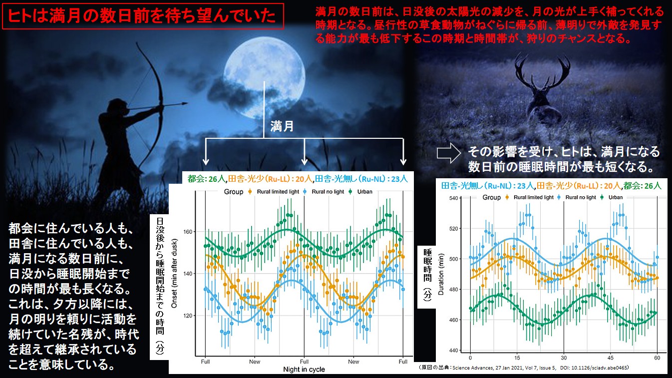 ヒトは満月の数日前を待ち望んでいた