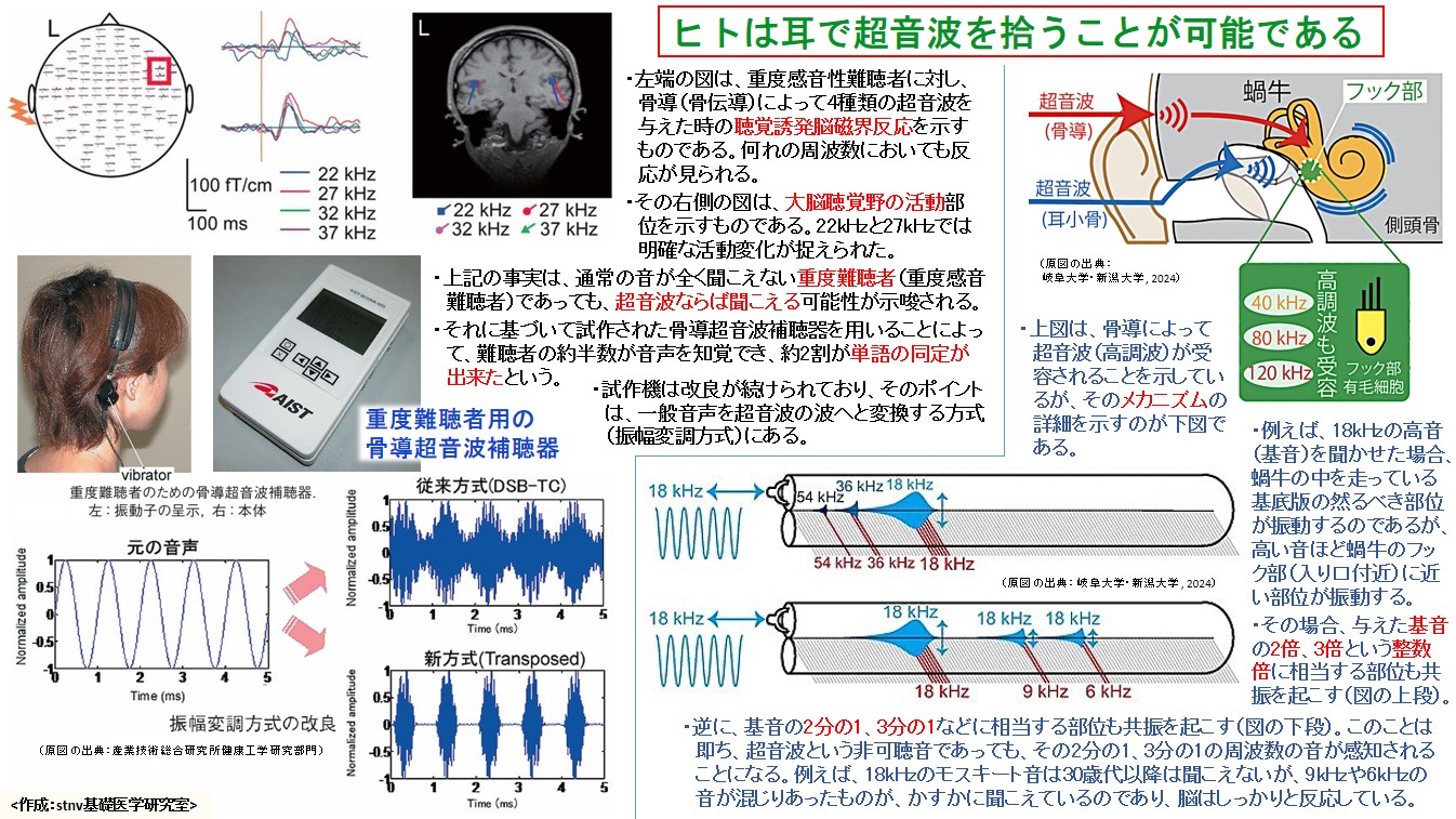 ヒトは耳で超音波を拾うことが可能である