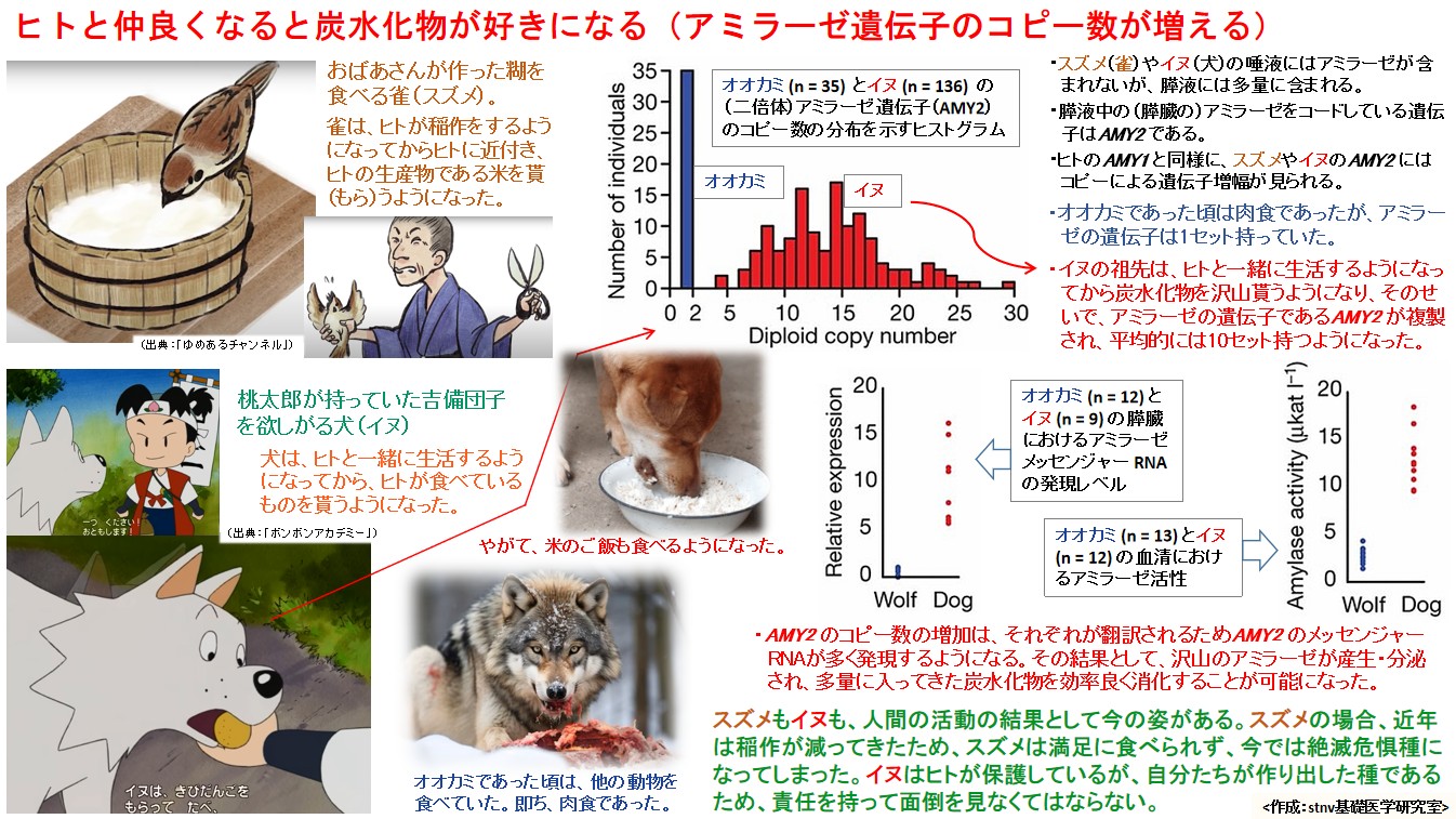 ヒトと仲良くなると炭水化物が好きになる