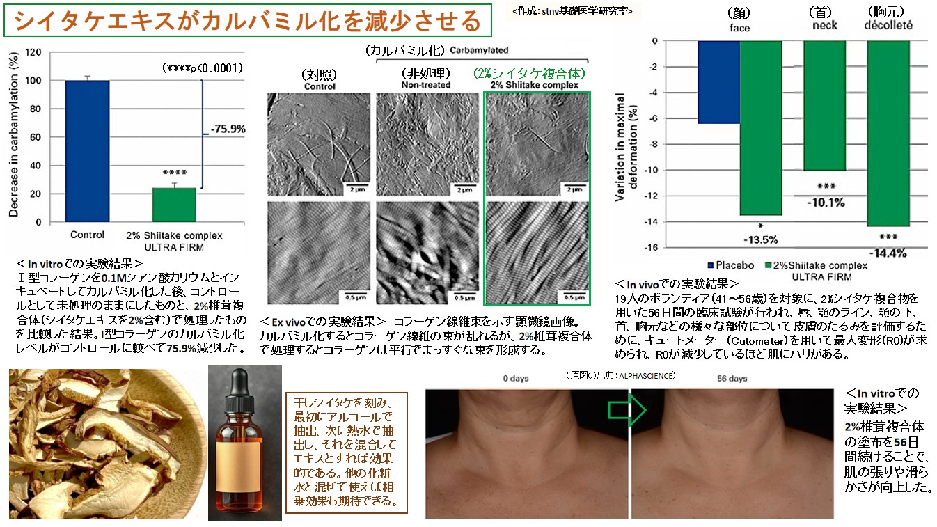 シイタケエキスがカルバミル化を減少させる