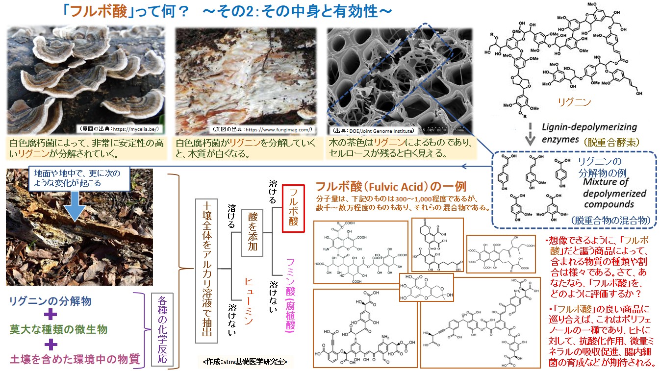 「フルボ酸」って何？　～その2：その中身と有効性～