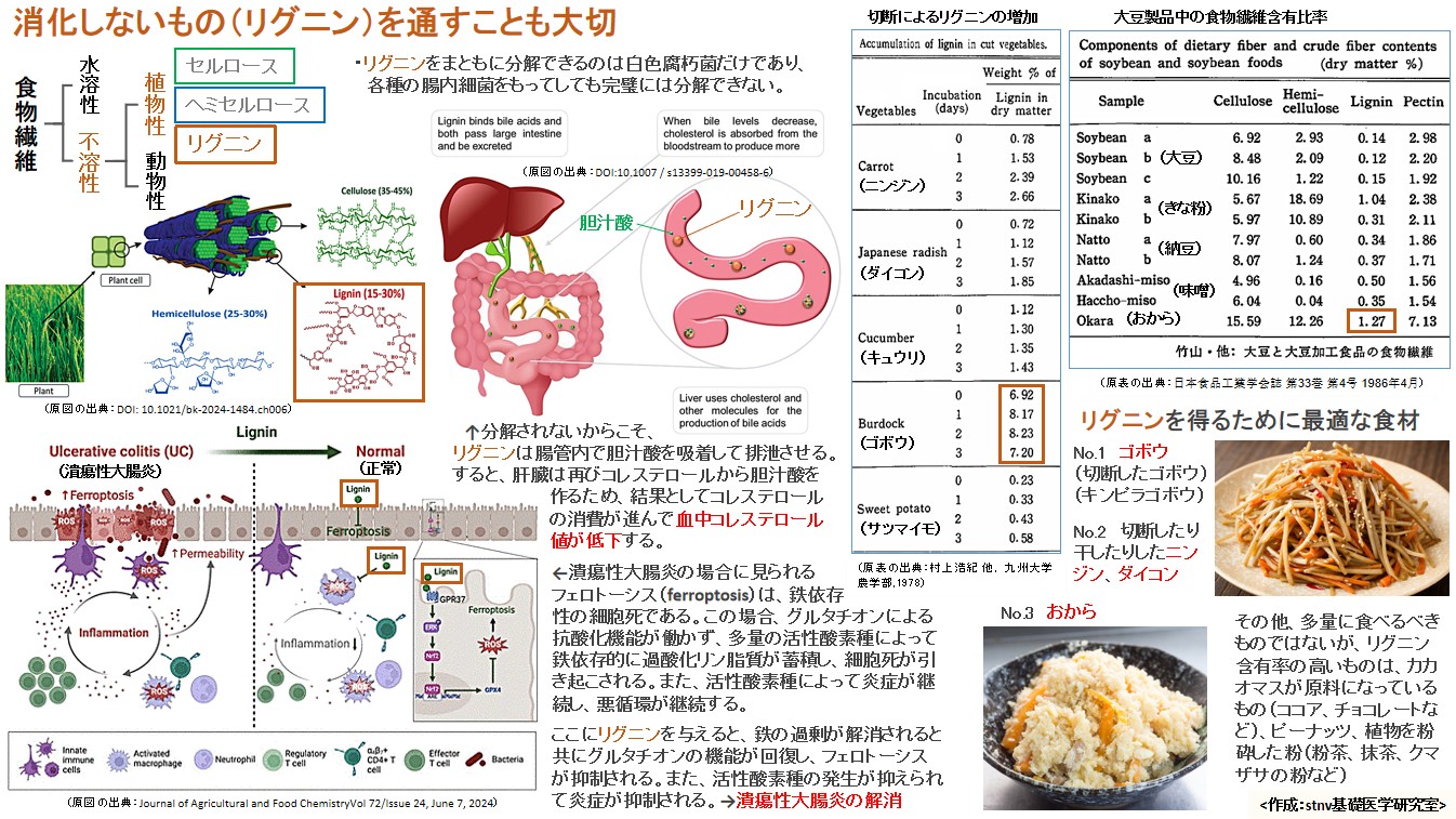 消化しないもの（リグニン）を通すことも大切