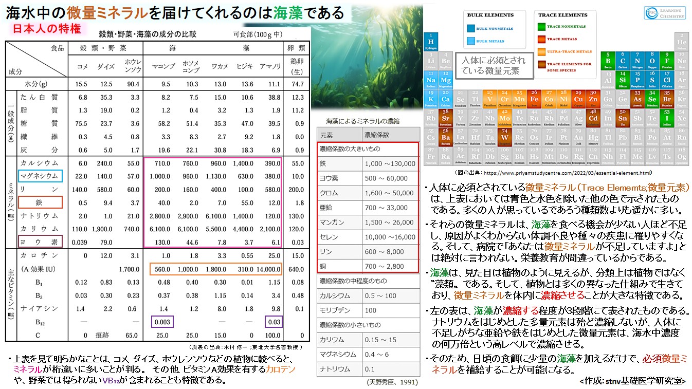 海水中の微量ミネラルを届けてくれるのは海藻である