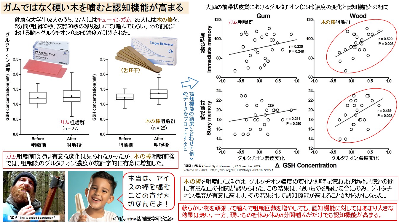 ガムではなく硬い木を噛むと認知機能が高まる