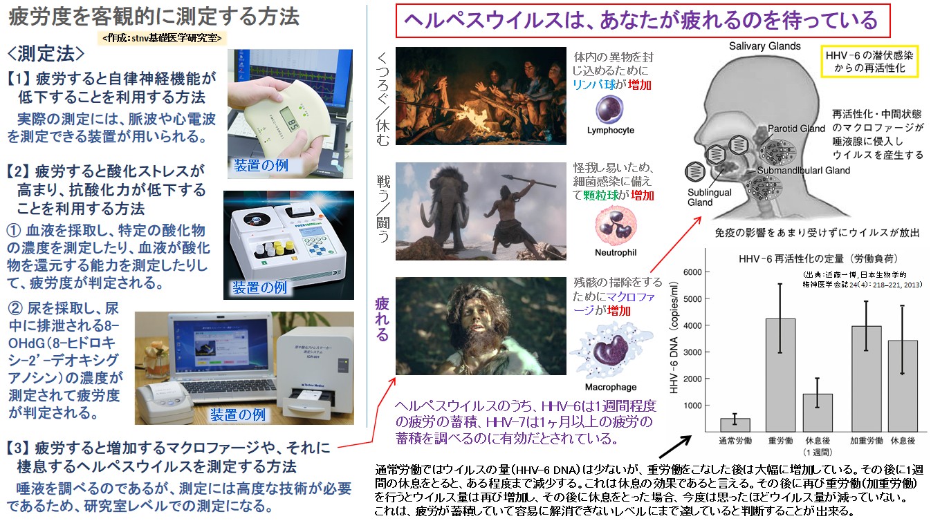 ヘルペスウイルスは、あなたが疲れるのを待っている