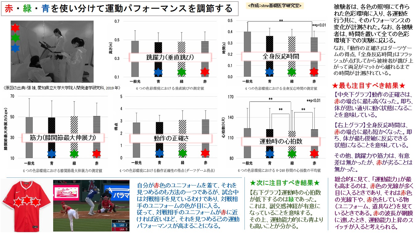 赤・緑・青を使い分けて運動パフォーマンスを調節する