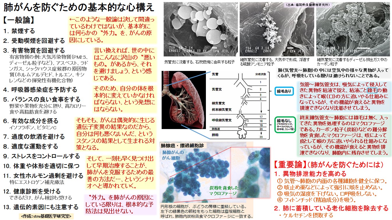 肺がんを防ぐための基本的な心構え