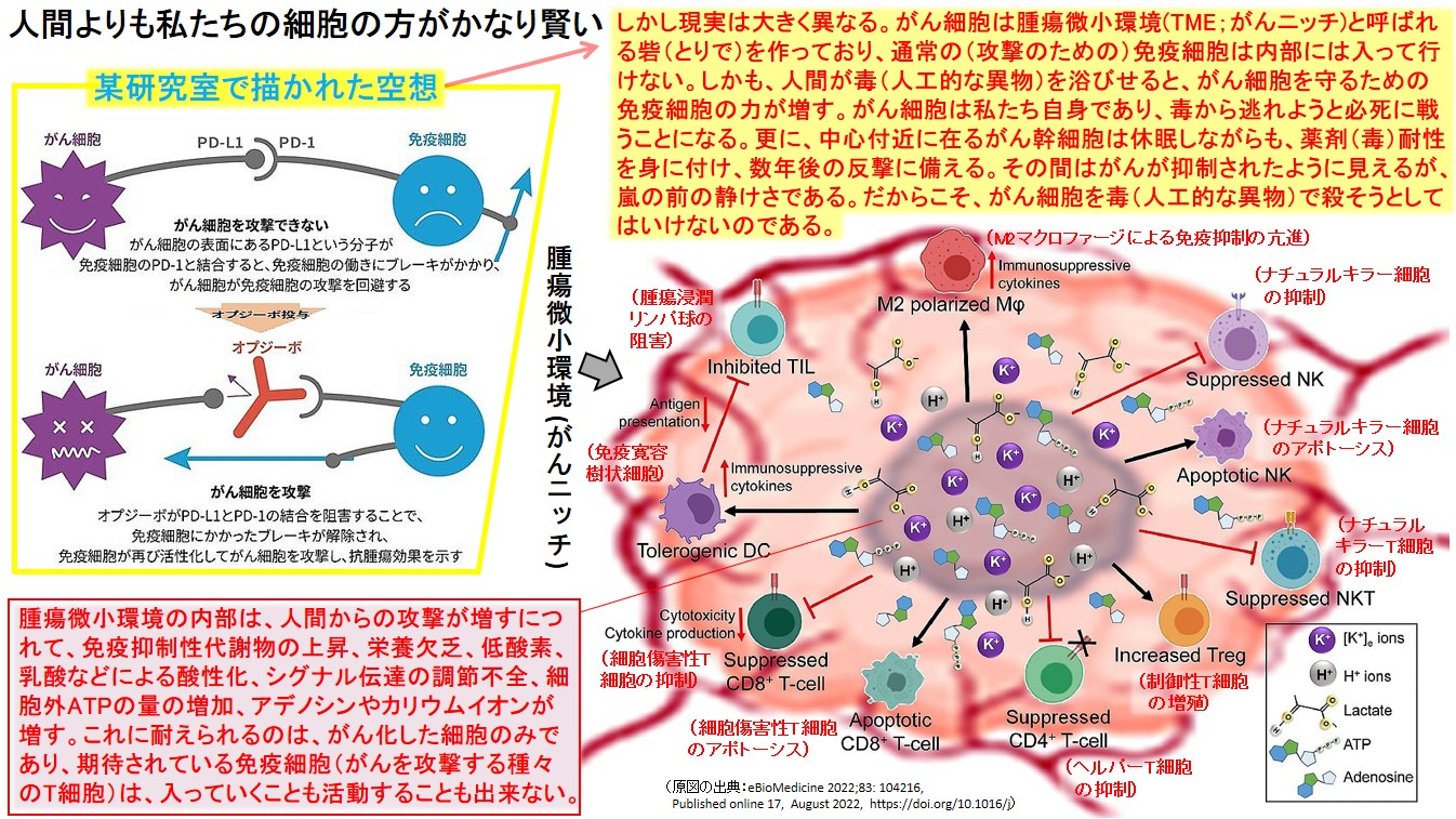 人間よりも私たちの細胞の方がかなり賢い