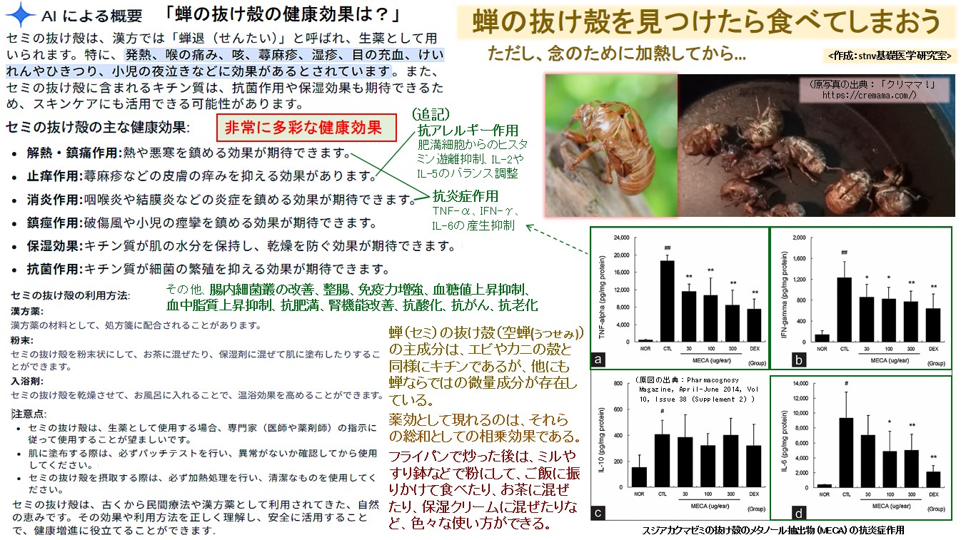 蝉の抜け殻を見つけたら食べてしまおう