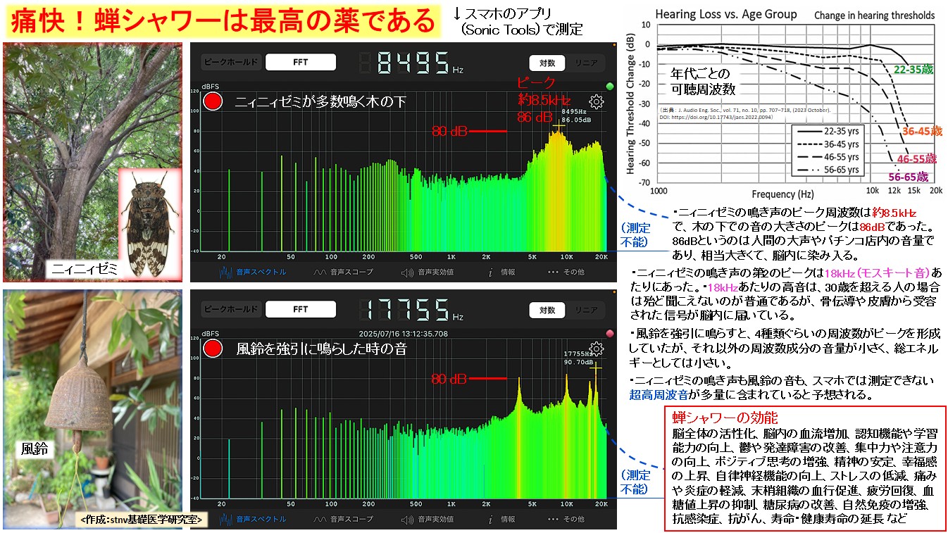 痛快！蝉シャワーは最高の薬である