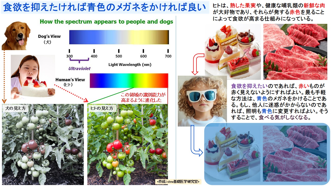 食欲を抑えたければ青色のメガネをかければ良い