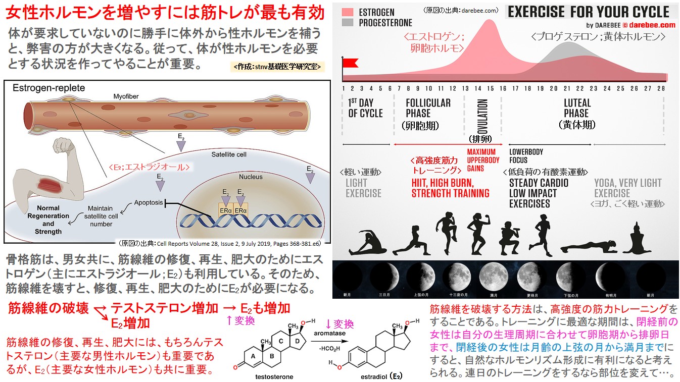 女性ホルモンを増やすには筋トレが最も有効