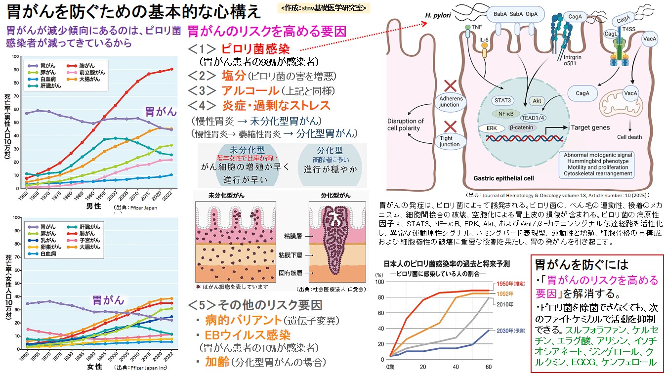胃がんを防ぐための基本的な心構え