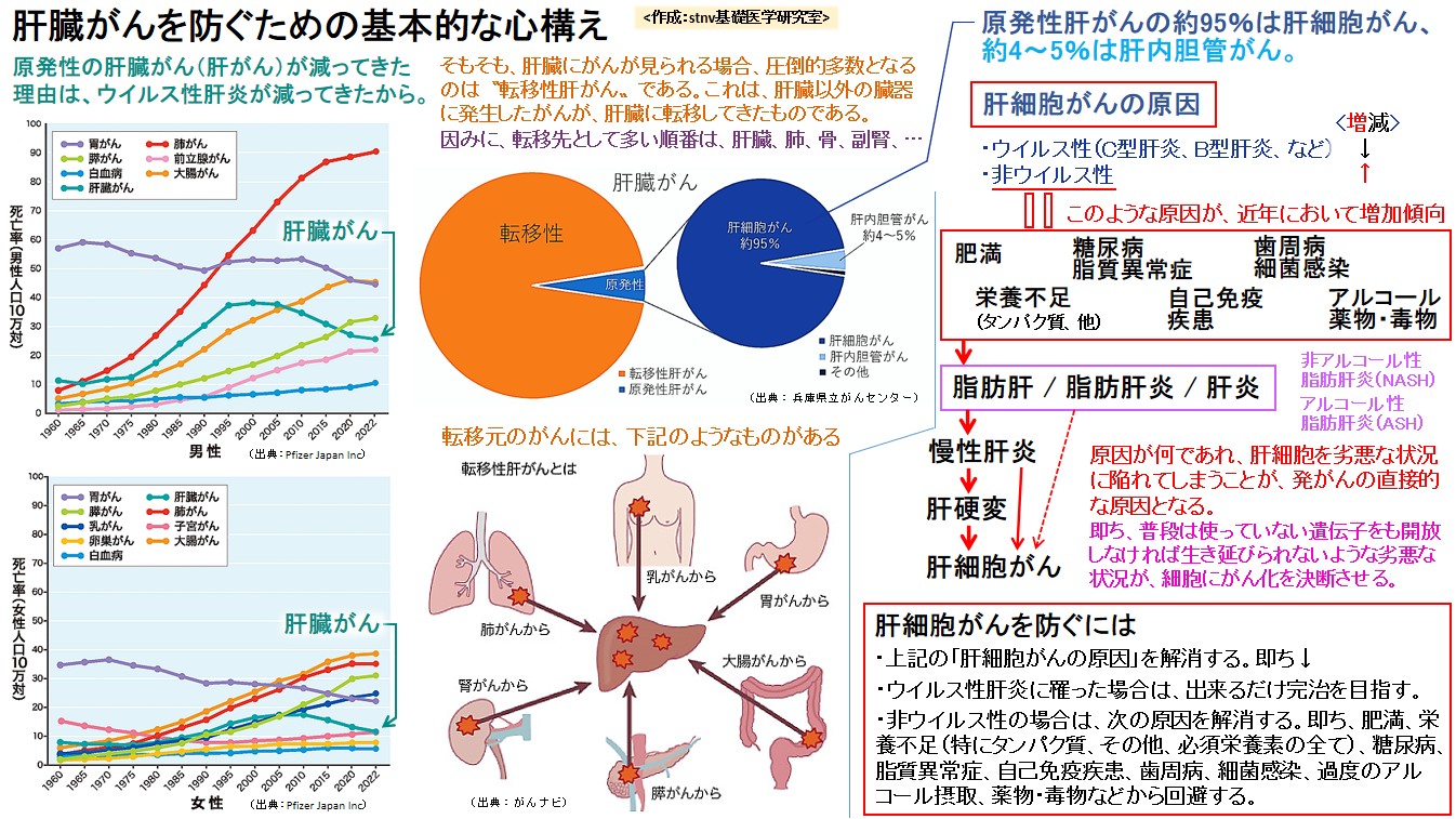 肝臓がんを防ぐための基本的な心構え