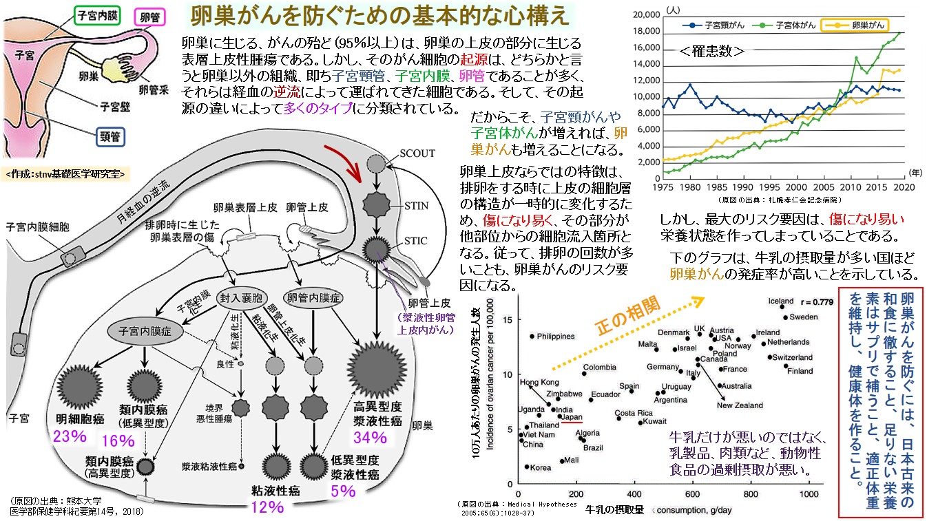卵巣がんを防ぐための基本的な心構え