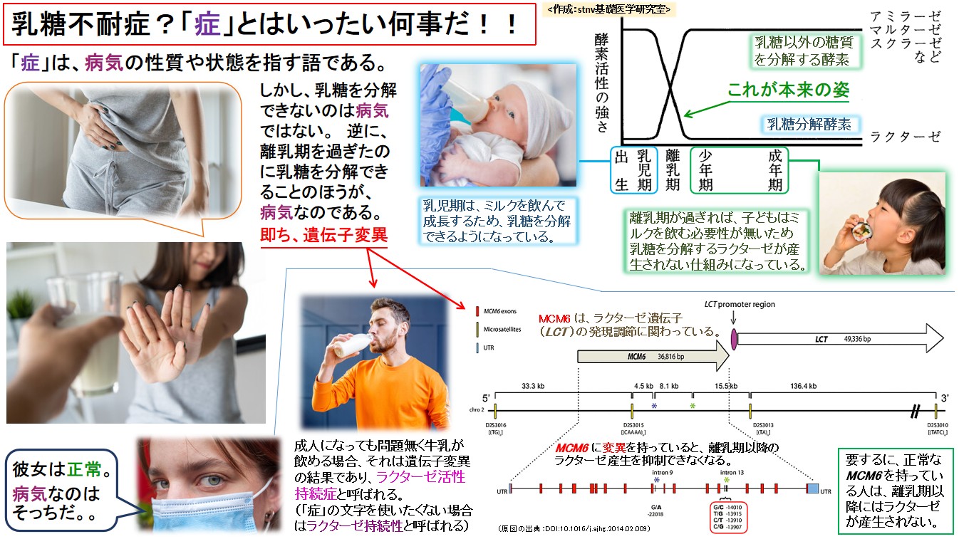 乳糖不耐症？「症」とはいったい何事だ！！
