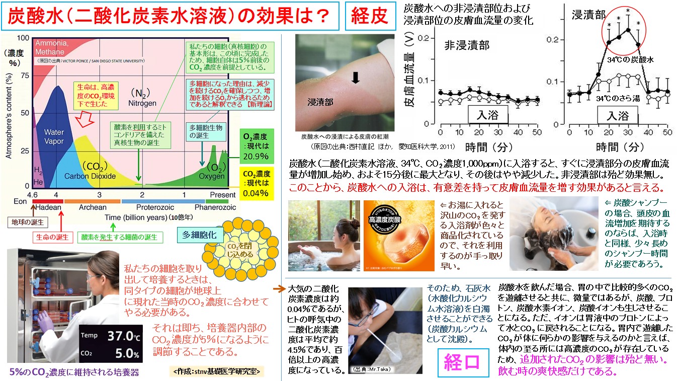 炭酸水（二酸化炭素水溶液）の効果は？