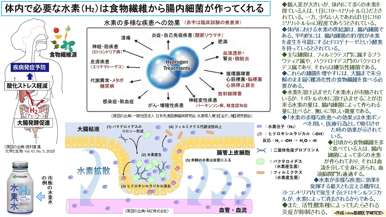 体内で必要な水素（H2）は食物繊維から腸内細菌が作ってくれる