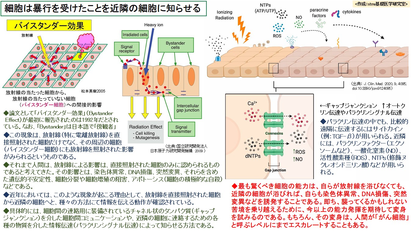 細胞は暴行を受けたことを近隣の細胞に知らせる