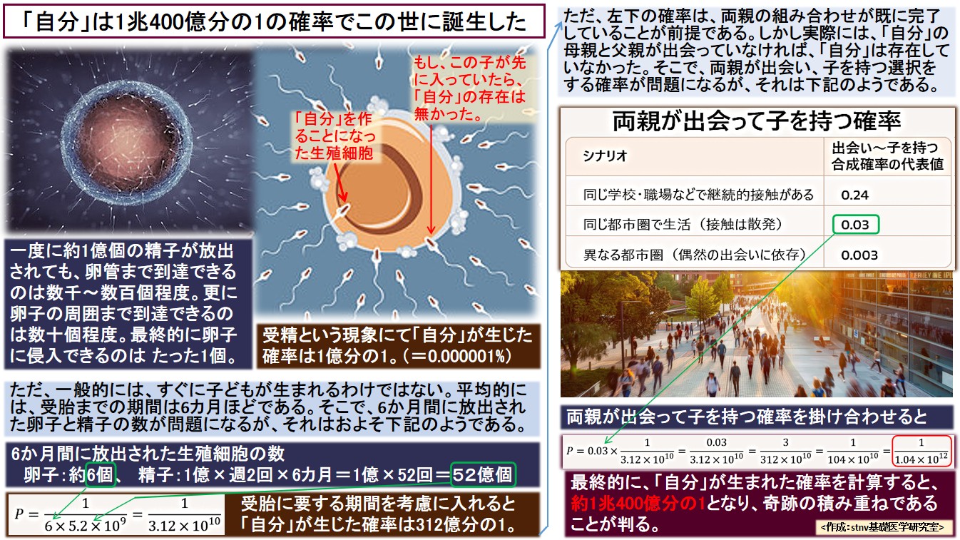 「自分」は1兆400億分の1の確率でこの世に誕生した