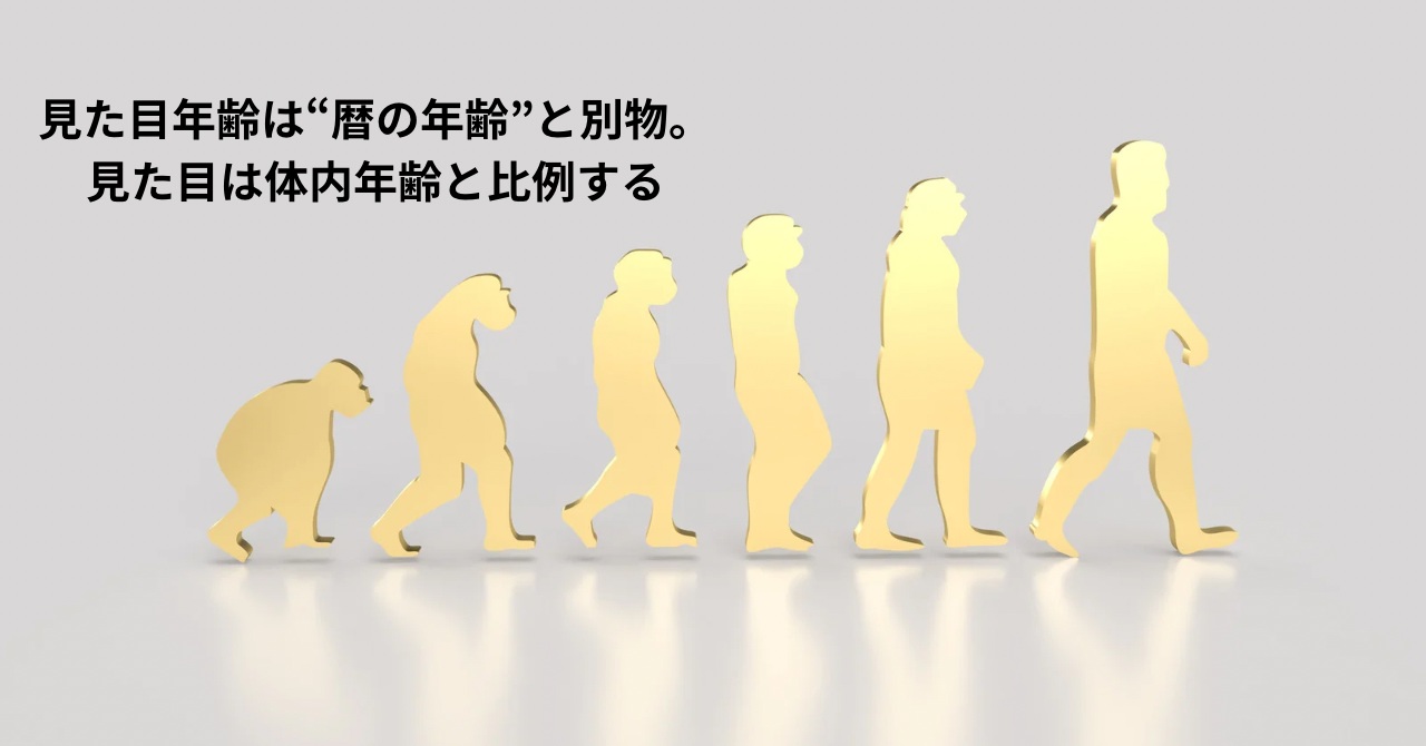 見た目年齢は“暦の年齢”と別物。 見た目は体内年齢と比例する