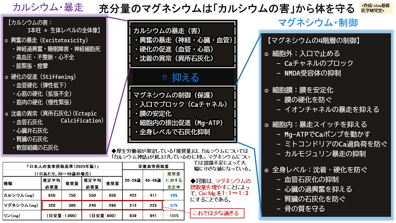 充分量のマグネシウムは「カルシウムの害」から体を守る