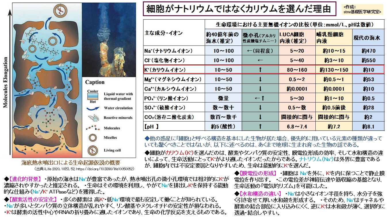 細胞がナトリウムではなくカリウムを選んだ理由