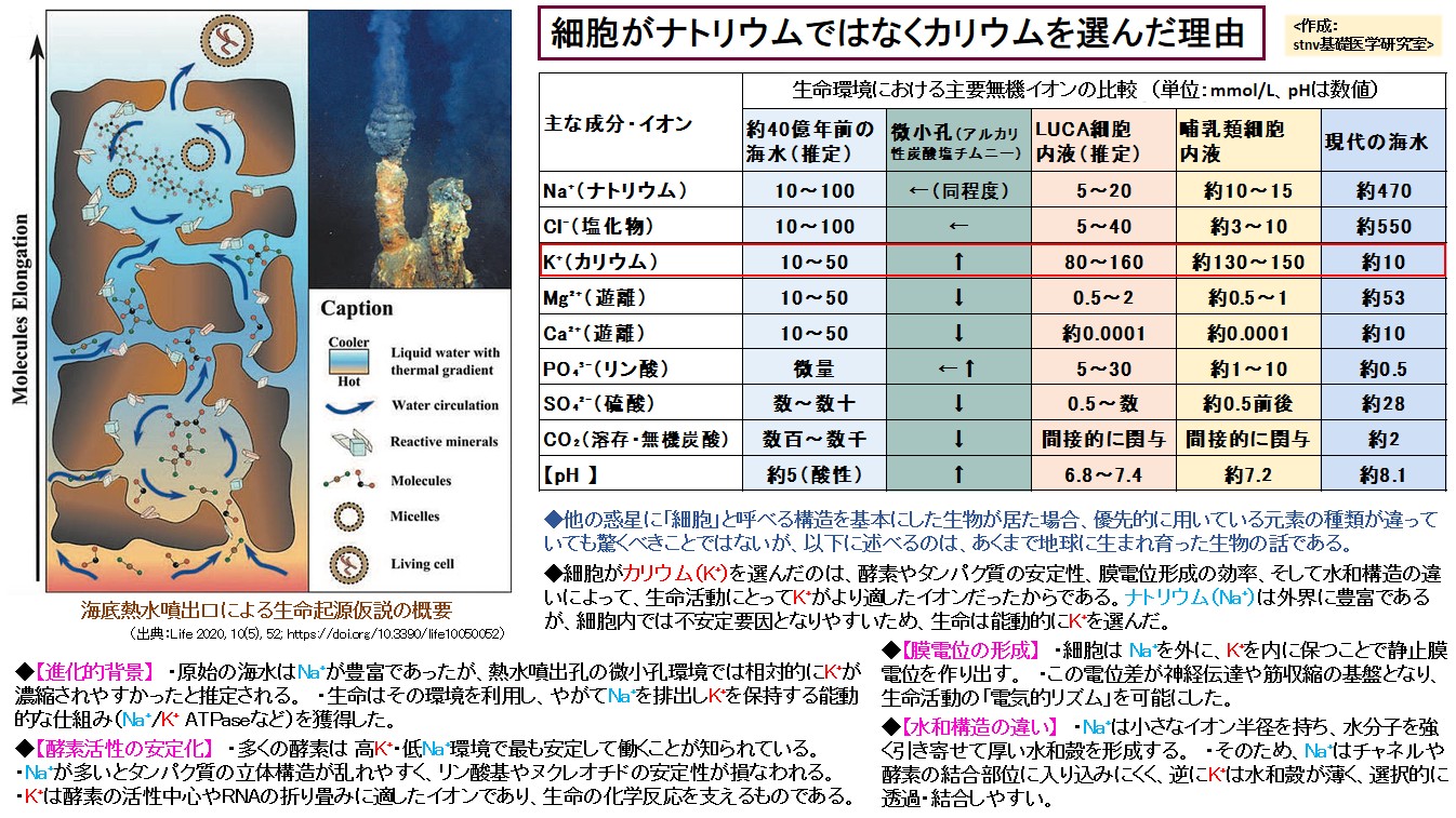 細胞がナトリウムではなくカリウムを選んだ理由