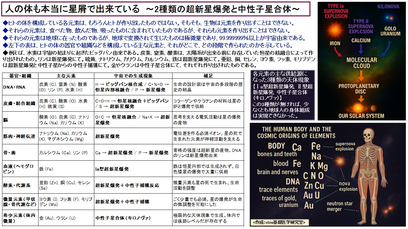 人の体も本当に星屑で出来ている