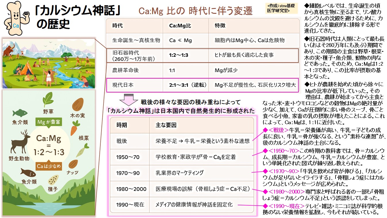 「カルシウム神話」 の歴史