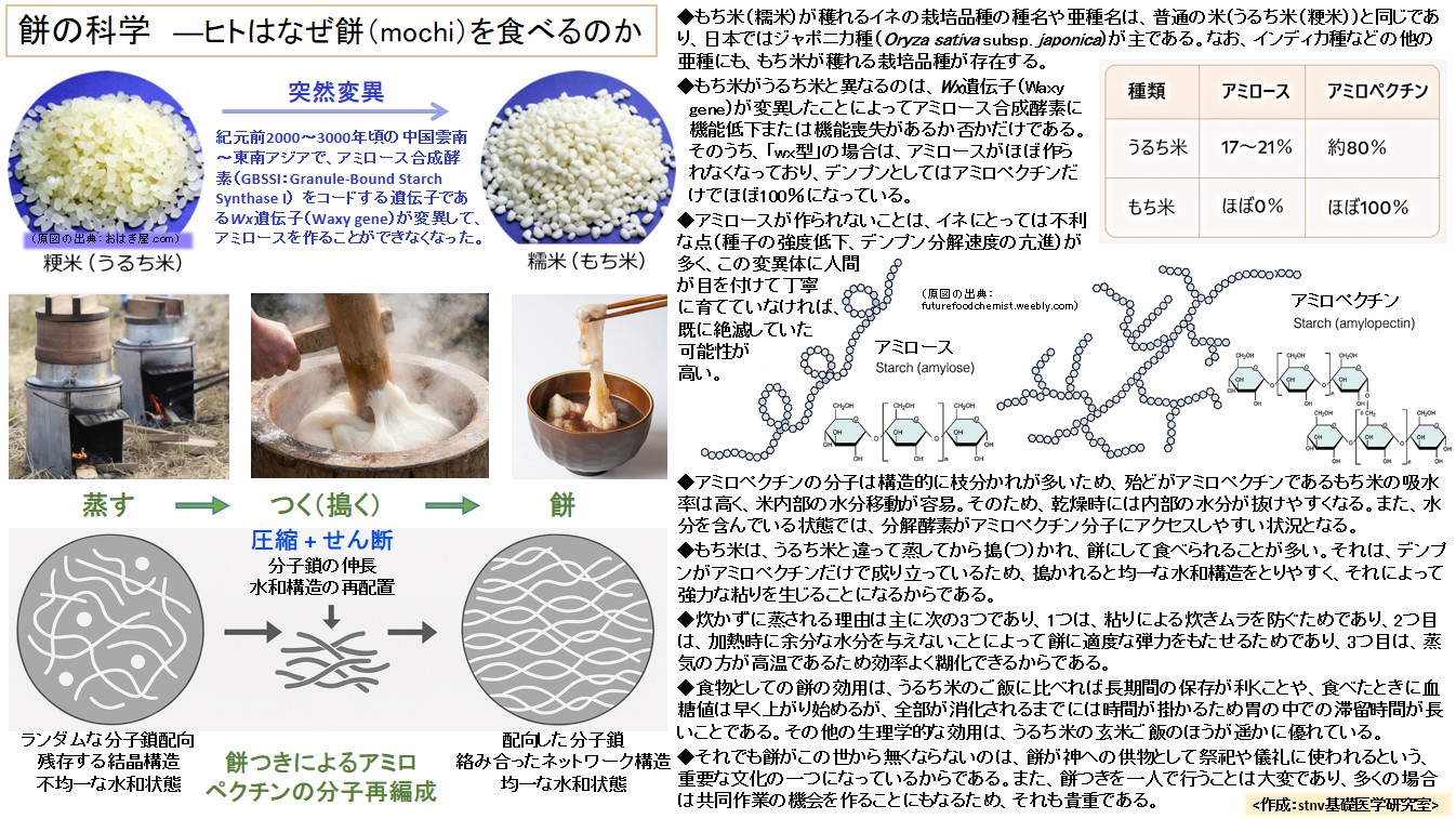 餅の科学　―ヒトはなぜ餅（mochi）を食べるのか