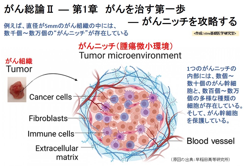 がんニッチを攻略する