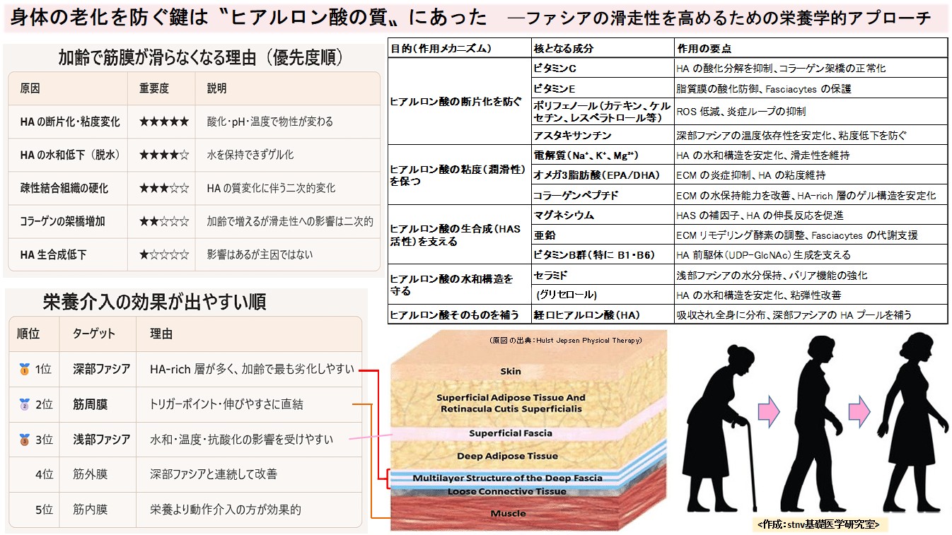 ファシアの滑走性を高めるための栄養学的アプローチ
