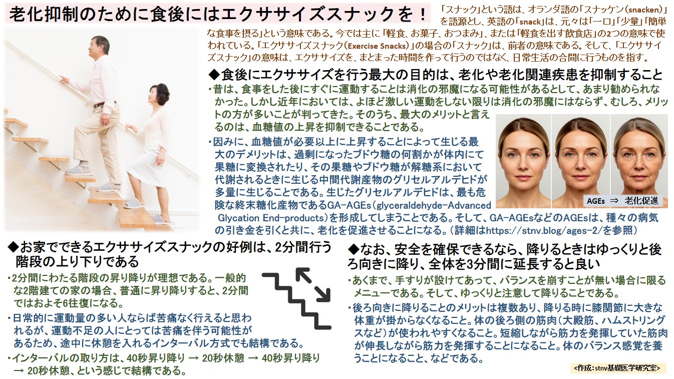 老化抑制のために食後にはエクササイズスナックを！