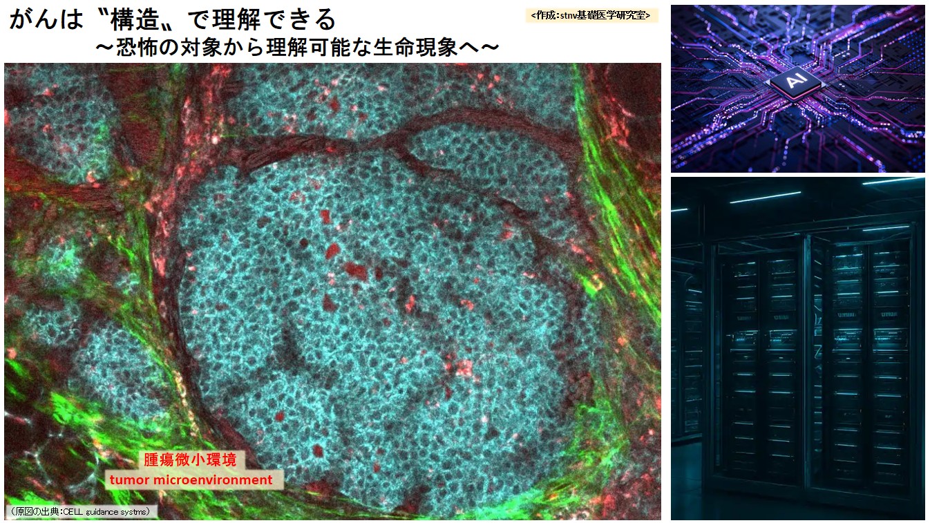 がんは〝構造〟で理解できる　〜恐怖の対象から理解可能な生命現象へ〜