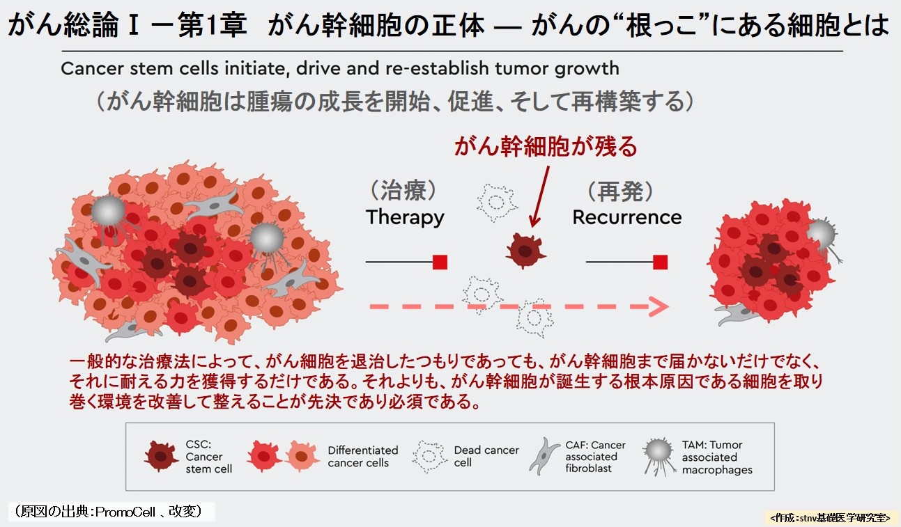 がん総論Ⅰ－第1章　がん幹細胞の正体 ― がんの“根っこ”にある細胞とは