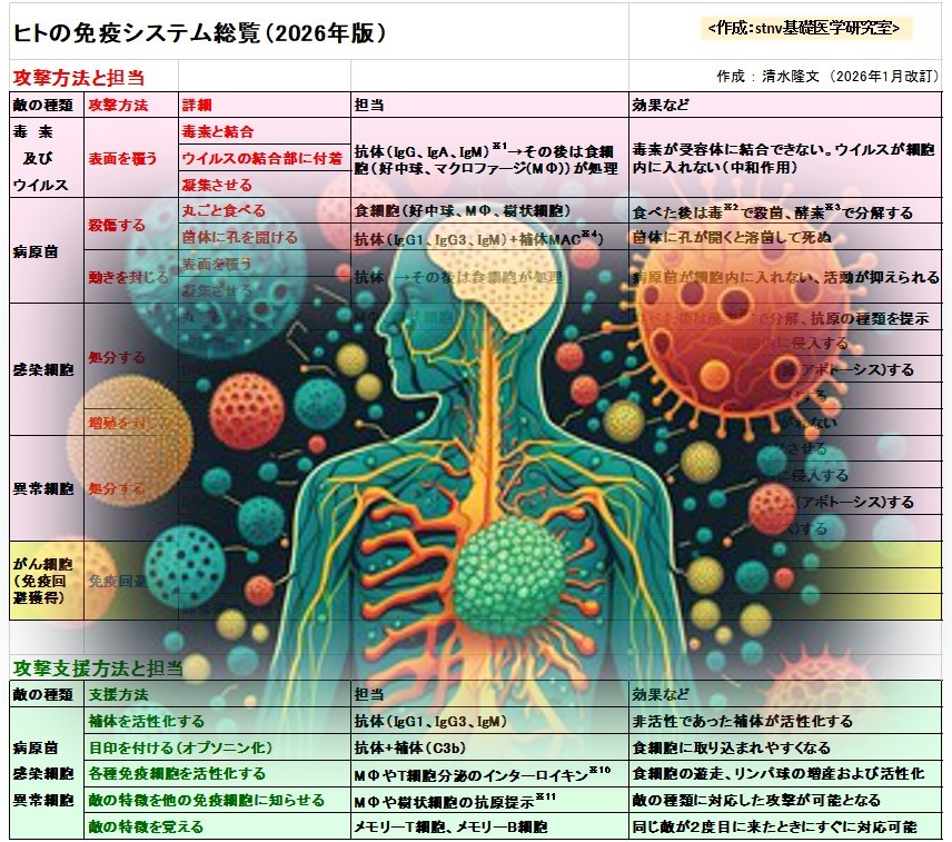 ヒトの免疫システム総覧（2026年版）